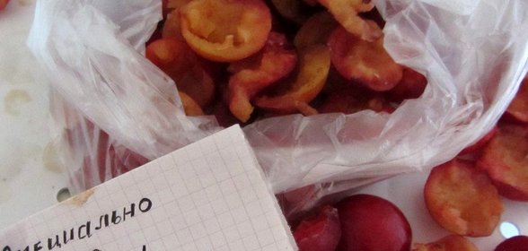 Замороженная слива