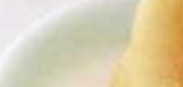 Варенье из лепестков роз