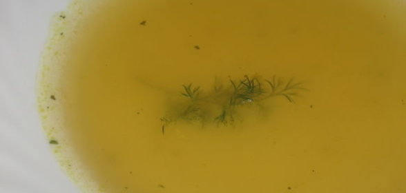 Печенка жареная в сметане