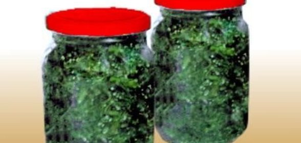 Засолка укропа на зиму в банках