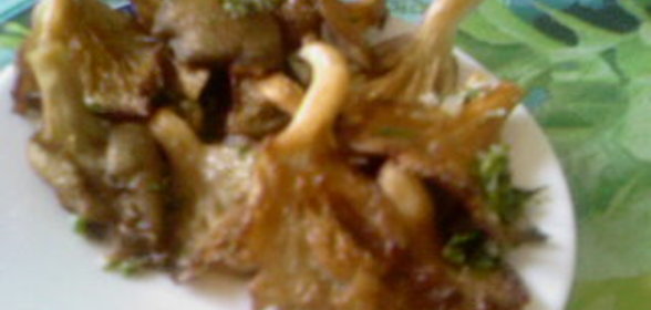 вариантик вешенок Ах, закуска, объеденье!