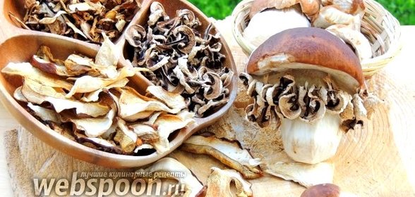 Белые грибы сушёные