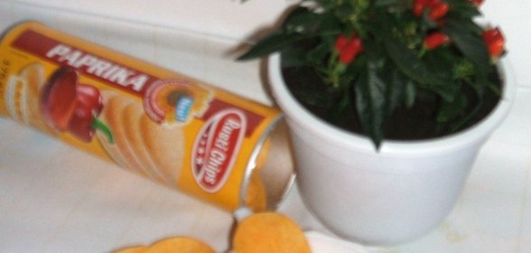 Дип-соус Kiss of salsa (вариант)