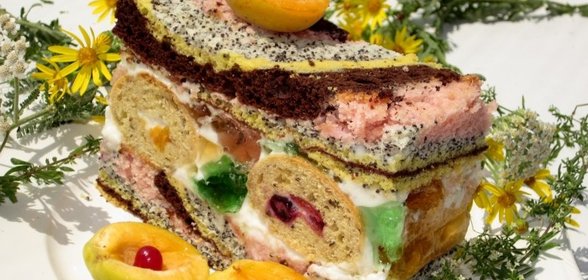 Пляцок Цветные сны