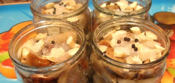 Засолка груздей холодным способом