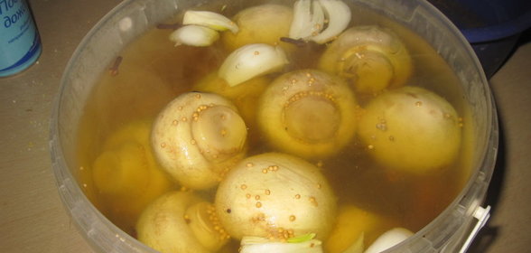 Шампиньоны маринованые Светлячки