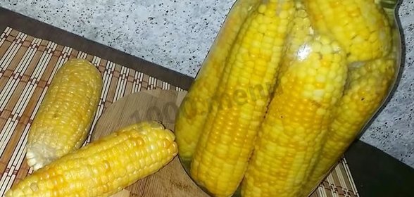 Кукуруза на зиму в початках