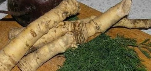 Заготовка хрена на зиму