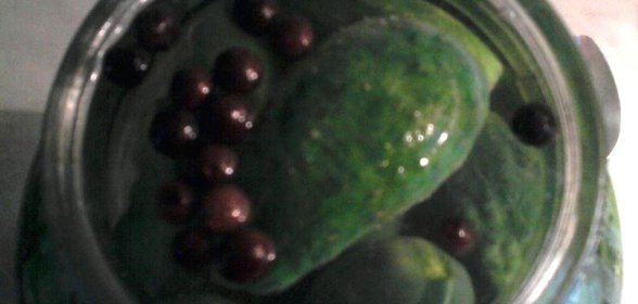 Огурчики и кабачки малосольные суточные