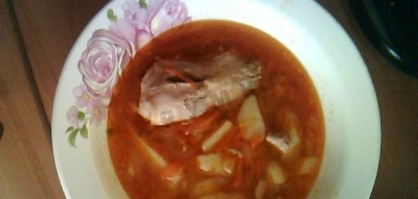 Щи из капусты квашеной
