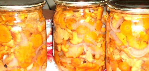 Консервированные жареные лисички