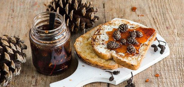 Варенье из сосновых шишек с мёдом