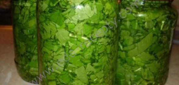 Консервированный щавель на зиму