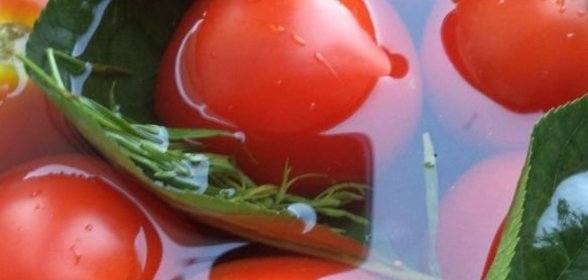 Помидоры квашеные