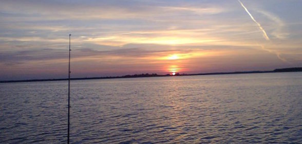 Котлеты свиные тушеные по-венгерски