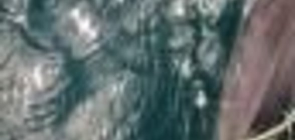 Торт «Птичье молоко» (рецепт Ахути д. д.)