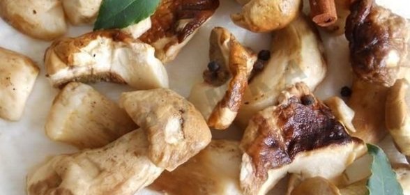 Заготовка грибов замороженных на зиму