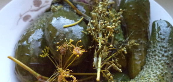 Хек, жаренный под маринадом