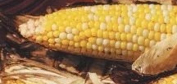 Салат из цветной капусты с уксусной заправкой