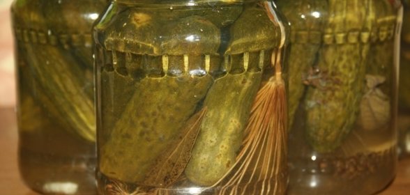 Маринованные огурцы на зиму